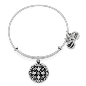 Alex and Ani compass bracelet